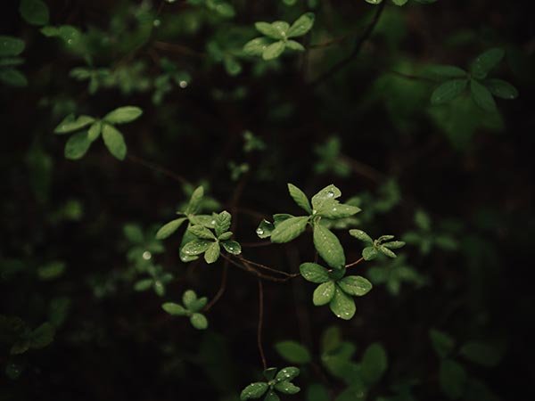 Read more about the article Quam Nulla Porttitor Massa Dneque Aliquam Vestibulum